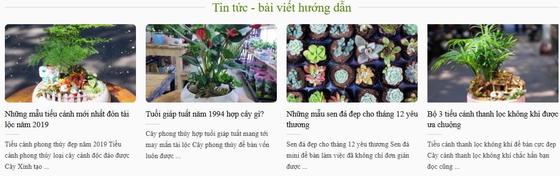 Thiết Kế Website Bán Chậu Hoa Cảnh, Bán Hoa MA-012