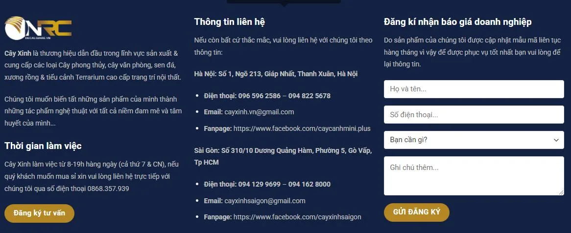 Thiết Kế Website Decal Dán Kính MA-022