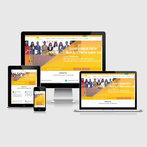 Thiết Kế Website Cung Cấp Giải Pháp Sản Phẩm Phần Mềm MA-272
