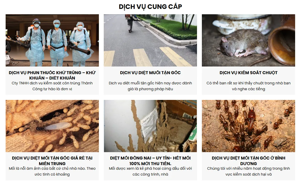Thiết Kế Website Dịch Vụ Diệt Côn Trùng MA-660