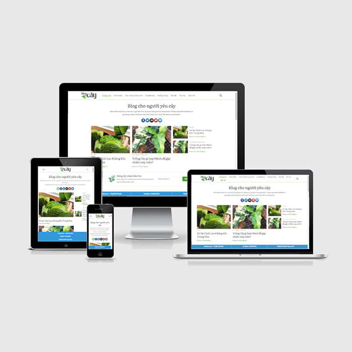 Thiết kế mẫu website dịch vụ cây cảnh
