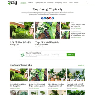 Thiết kế mẫu website dịch vụ cây cảnh