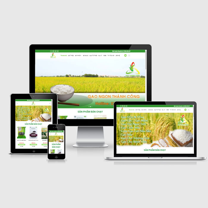 Thiết kế website dịch vụ bán gạo