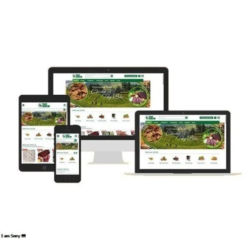 Thiết Kế Website Đặc Sản Miền Bắc MA-691