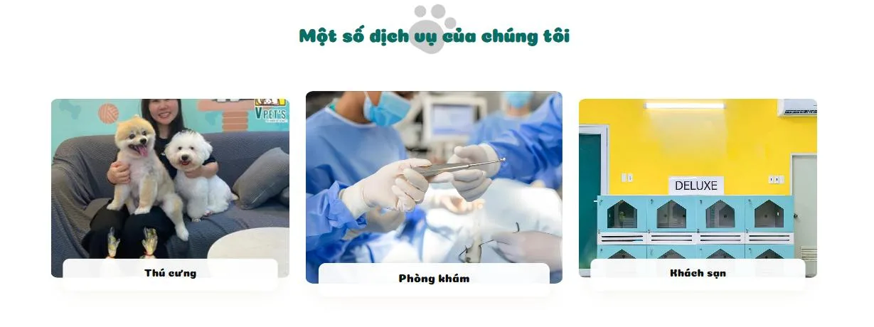 Thiết Kế Website Thú Cưng MA-684